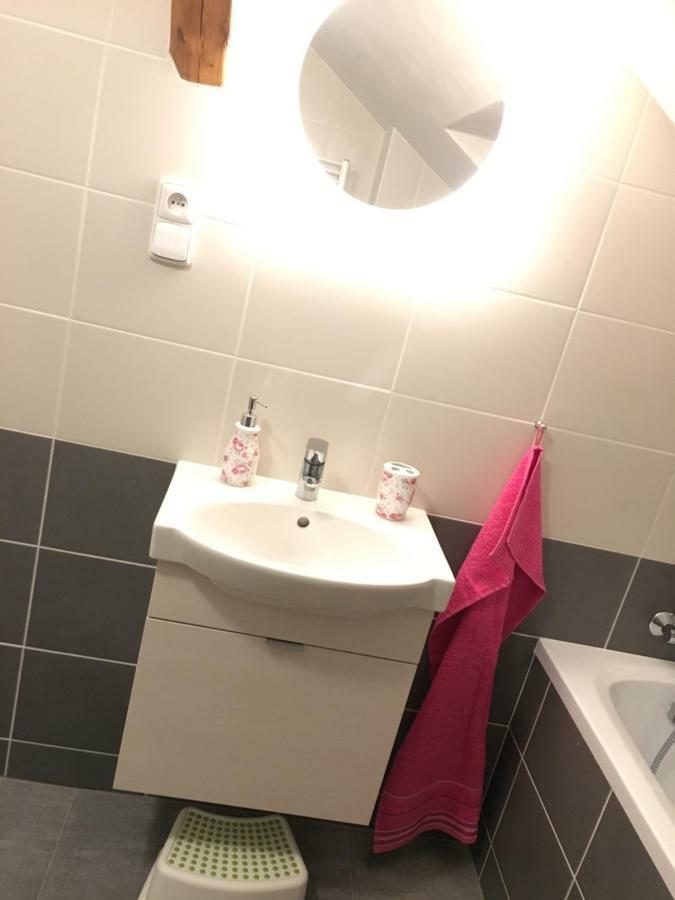 Apartments Simakova Vila トゥルノフ エクステリア 写真